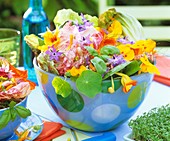 Salat mit Kapuzinerkresse, Borretsch, Dill und Basilikum