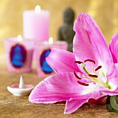 Pink lily and scented candles