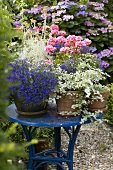 Summer flowers in pots on garden table