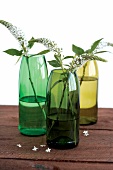 Green bottles cut down to make vases