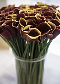Red calla lilies in a vase