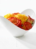 Roses in white bowl