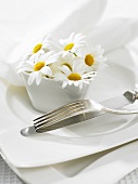 Table decoration of marguerites in white pot