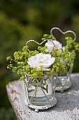 Lady's mantle and roses in glasses