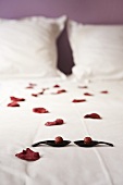 Rosenblütenblätter auf einem Bett