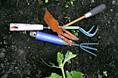 Garden tools on soil