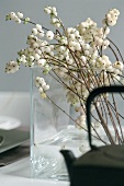 Branches of white berries in vase