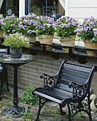 Terrace with pansies in pots