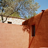 Ziegelrote Putzwände und im Hintergrund Olivenbaum vor Natursteinfassade mit mediterraner Dachdeckung