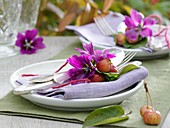 Napkin decorations (mallow flowers and crab apples)