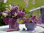 Lilac in purple metal containers
