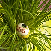 Artistically painted Easter egg lying in pot of chives
