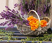 Lavender in basket with roses
