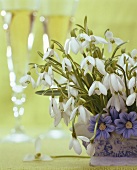 Snowdrops as table decoration