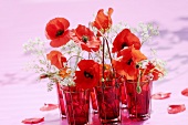 Corn poppies and chervil in red vases