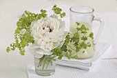 Peony and lady's mantle in a glass
