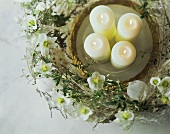Teller mit vier Kerzen umgeben von Kranz aus Christrosen
