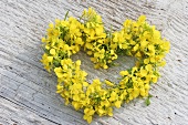 Small heart-shaped wreath of oilseed rape flowers