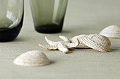 Shells, a starfish and empty glasses