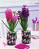 Two hyacinths in decorated tins