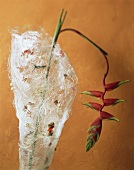 Winter decoration: heliconia in glittery sheath