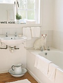 Eine weiße Katze am Rand einer Eckbadewanne
