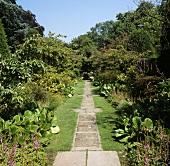 Path through garden
