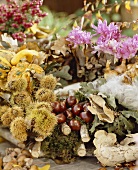 Autumn still life with flowers, foliage and fruit