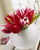 Arrangement of two-coloured tulips