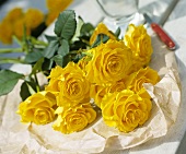 Bouquet of yellow roses on paper