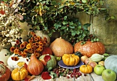 Autumn still life of flowers, pumpkins, squashes and apples
