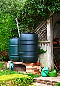 Water butts in front of a shed in England