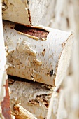 A stack of birch wood (close-up)