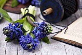 Blue hyacinths, a book and garden twine