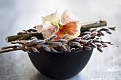 Pansies and willow catkins on a bowl