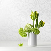 Gelb-grüne Tulpen und Hortensien in Vase