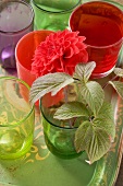 Coloured glasses and red dahlia on tray