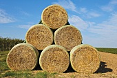 Bales of straw in field