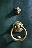 Brass door knocker and lion's head on wooden door