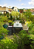 Dachterrasse mit Pflanzen, Tisch, Stühlen und Bank
