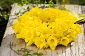 Wreath of daffodils