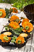Marigolds and candles (table decoration)