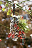 Spruce cone filled with bird food