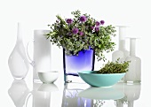 Various glass vases, one with bunch of herbs