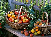 Various types of tomatoes in baskets