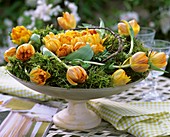 Moss wreath with tulips (variety: Orange Princess)