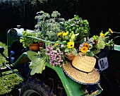 Herbs, summer flowers and a straw hat on a tractor