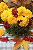 Herbstliches Gesteck aus Chrysanthemen, Moos und Beeren