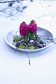 A plate decorated for Chirstmas with hyacinths