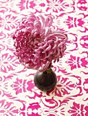 Chrysanthemum in a vase on a patterned tablecloth